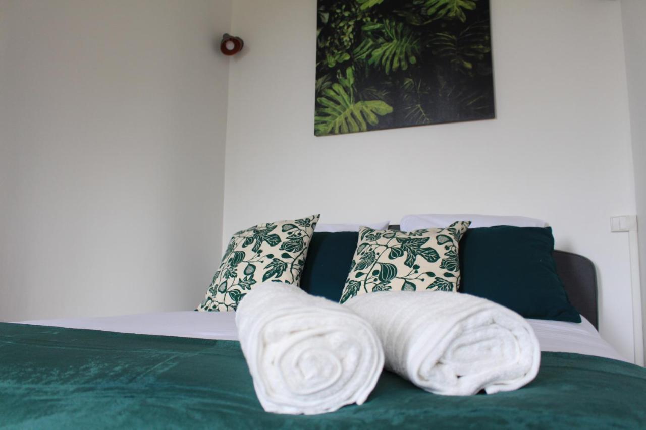 Apartamento Paul Sabatier-T1-Vue Sur Jardin-Luxe-Wifi-Fi-Velo Castelnaudary Exterior foto
